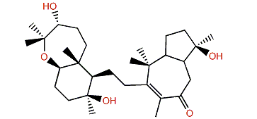 Sipholenol D